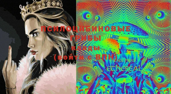 PSILOCYBIN Балабаново