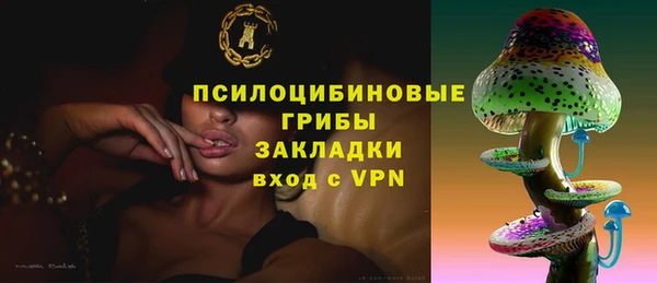 PSILOCYBIN Балабаново